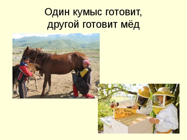 Только кумыс картинка