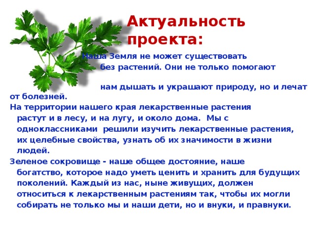 Актуальность проекта:    Наша Земля не может существовать  без растений. Они не только помогают  нам дышать и украшают природу, но и лечат от болезней.   На территории нашего края лекарственные растения  растут и в лесу, и на лугу, и около дома. Мы с  одноклассниками решили изучить лекарственные растения,  их целебные свойства, узнать об их значимости в жизни  людей.   Зеленое сокровище - наше общее достояние, наше  богатство, которое надо уметь ценить и хранить для будущих  поколений. Каждый из нас, ныне живущих, должен  относиться к лекарственным растениям так, чтобы их могли  собирать не только мы и наши дети, но и внуки, и правнуки.