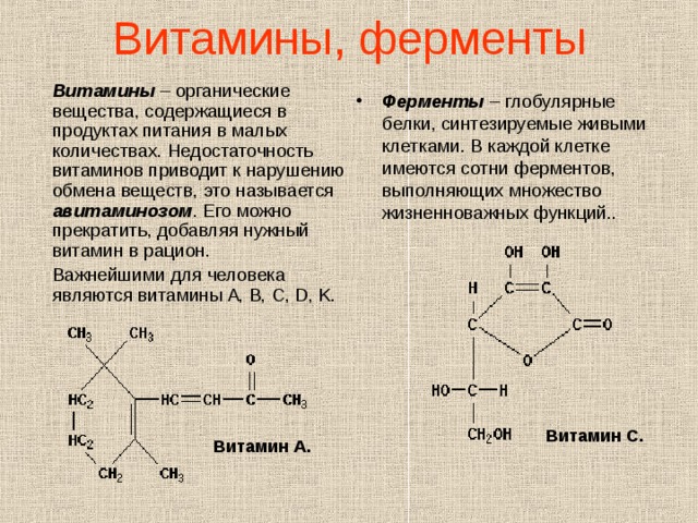 Витамины схема биология