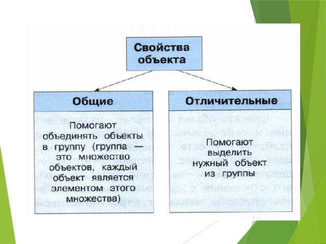 Свойства объекта определяют. Свойства объекта. Общие свойства объектов. Свойства объектов Общие и отличительные. Общие свойства всех объектов.