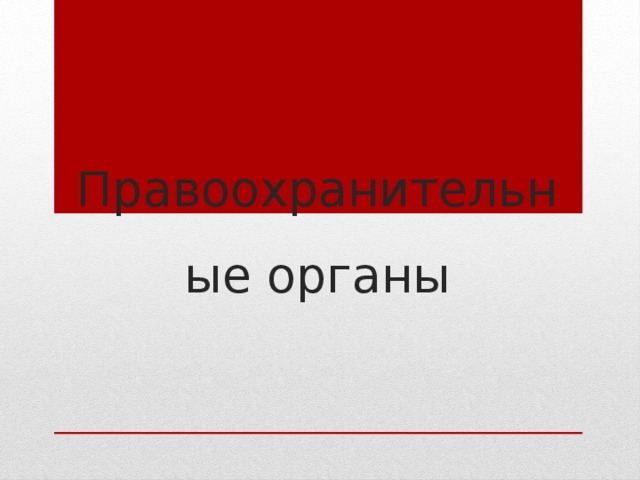Правоохранительные органы 