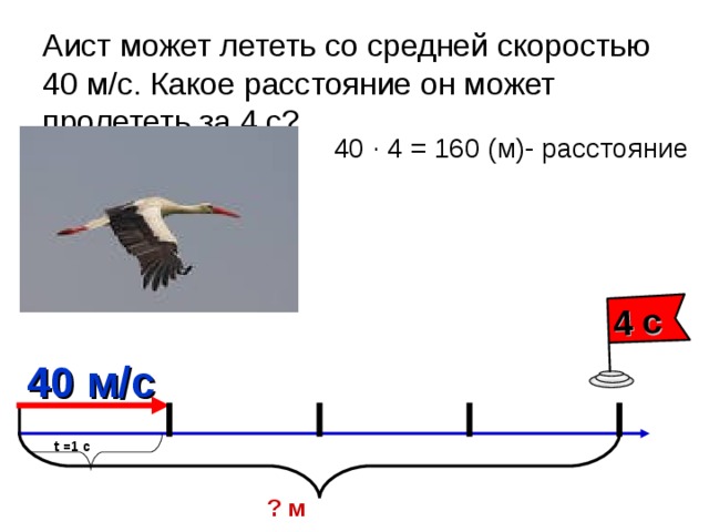 Аист может лететь со скоростью 600 м мин какое расстояние он пролетит за 1с