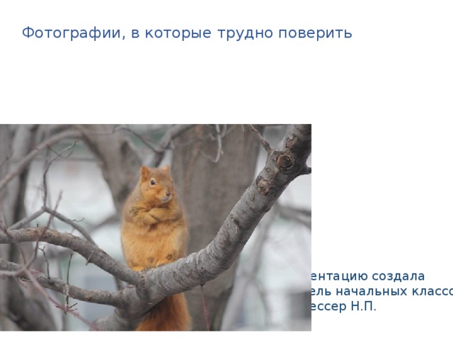Фотографии, в которые трудно поверить Презентацию создала учитель начальных классов Эльсессер Н.П. 