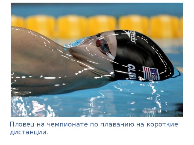 Пловец на чемпионате по плаванию на короткие дистанции. 