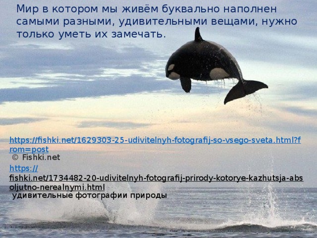 Мир в котором мы живём буквально наполнен самыми разными, удивительными вещами, нужно только уметь их замечать.       https://fishki.net/1629303-25-udivitelnyh-fotografij-so-vsego-sveta.html?from=post   © Fishki.net https:// fishki.net/1734482-20-udivitelnyh-fotografij-prirody-kotorye-kazhutsja-absoljutno-nerealnymi.html  удивительные фотографии природы 