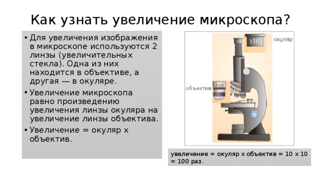 Как узнать увеличение микроскопа?   Для увеличения изображения в микроскопе используются 2 линзы (увеличительных стекла). Одна из них находится в объективе, а другая — в окуляре. Увеличение микроскопа равно произведению увеличения линзы окуляра на увеличение линзы объектива. Увеличение = окуляр х объектив. увеличение = окуляр х объектив = 10 х 10 = 100 раз. 