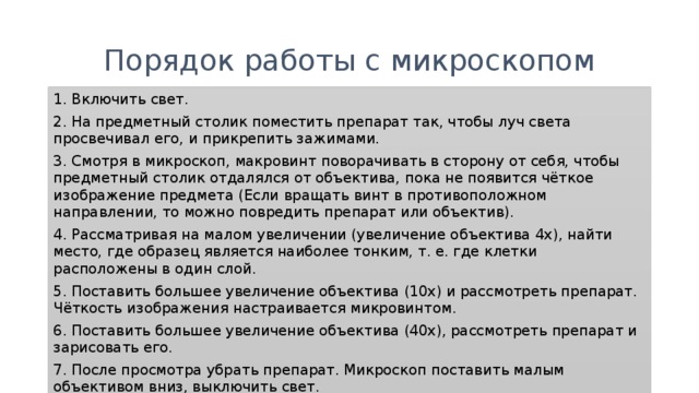 Порядок работы с микроскопом 1. Включить свет. 2. На предметный столик поместить препарат так, чтобы луч света просвечивал его, и прикрепить зажимами. 3. Смотря в микроскоп, макровинт поворачивать в сторону от себя, чтобы предметный столик отдалялся от объектива, пока не появится чёткое изображение предмета (Если вращать винт в противоположном направлении, то можно повредить препарат или объектив). 4. Рассматривая на малом увеличении (увеличение объектива 4х), найти место, где образец является наиболее тонким, т. е. где клетки расположены в один слой. 5. Поставить большее увеличение объектива (10x) и рассмотреть препарат. Чёткость изображения настраивается микровинтом. 6. Поставить большее увеличение объектива (40x), рассмотреть препарат и зарисовать его. 7. После просмотра убрать препарат. Микроскоп поставить малым объективом вниз, выключить свет. 