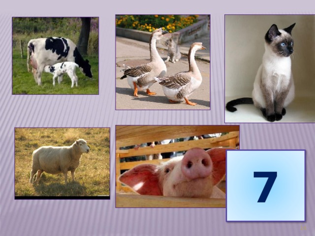 7 16 