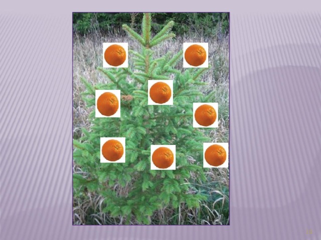 18 