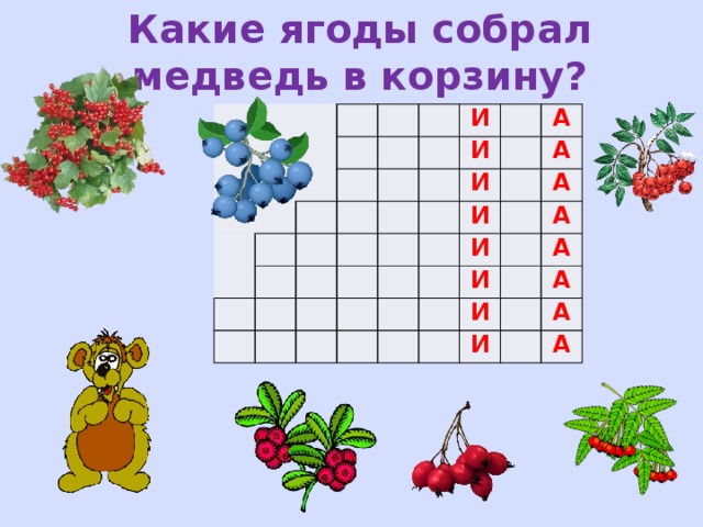 Какие ягоды собирали ребята в рассказе конь. Какие ягоды собрал медведь. Какие ягоды собрал медведь в корзину кроссворд. Собери для медвежонка ягоды. Какие ягоды собрал медведь в корзину ответ.