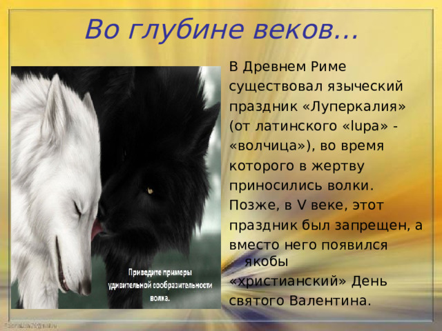 Во глубине веков… В Древнем Риме существовал языческий праздник «Луперкалия» (от латинского «lupa» - «волчица»), во время которого в жертву приносились волки. Позже, в V веке, этот праздник был запрещен, а вместо него появился якобы «христианский» День святого Валентина. 