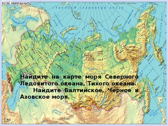 Найдите на карте моря Северного Ледовитого океана, Тихого океана. Найдите Балтийское, Черное и Азовское моря. 