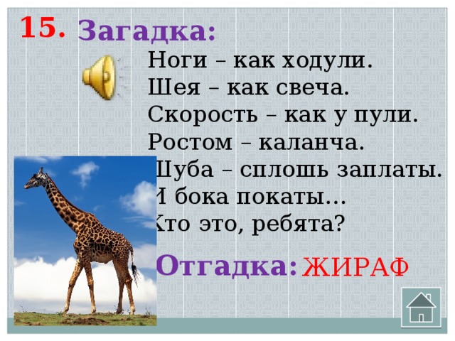 Загадка старший брат. Загадка про жирафа для детей 5-6. Загадка про жирафа для детей. Загадка о жирафе. Загадка о жирафе для детей.