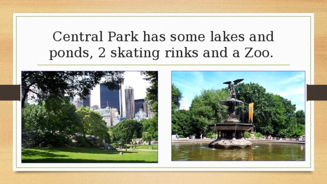 Central Park has some lakes and ponds, 2 skating rinks and a Zoo. 