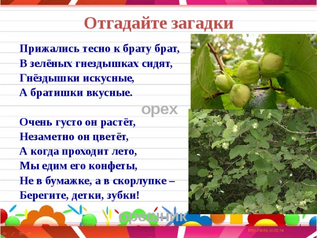 Презентация по русскому языку 3 класс текст предложение словосочетание