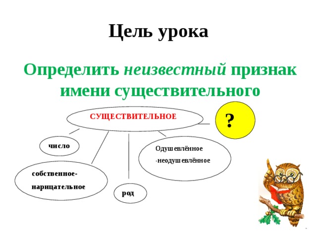 Определи неизвестное. Цель с существительного. Отметь неодушевленное имена существительные неизвестное насекомое. Неизвестный продукт.