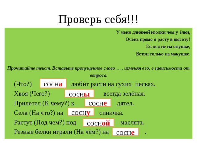 Морфологический слова хвойным. На сосне падеж. Падеж слова сосны. На сосне какой падеж. Резвые белки играли на сосне какой падеж на сосне.