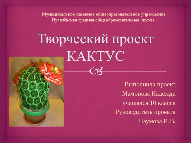 Творческий проект кактусы