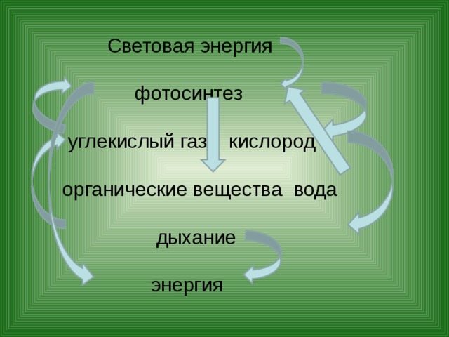 Световая энергия   фотосинтез   углекислый газ кислород   органические вещества вода    дыхание   энергия