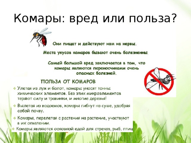 Насекомые польза и вред презентация