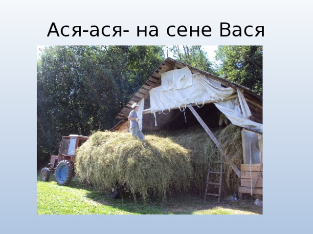 Вася на сене