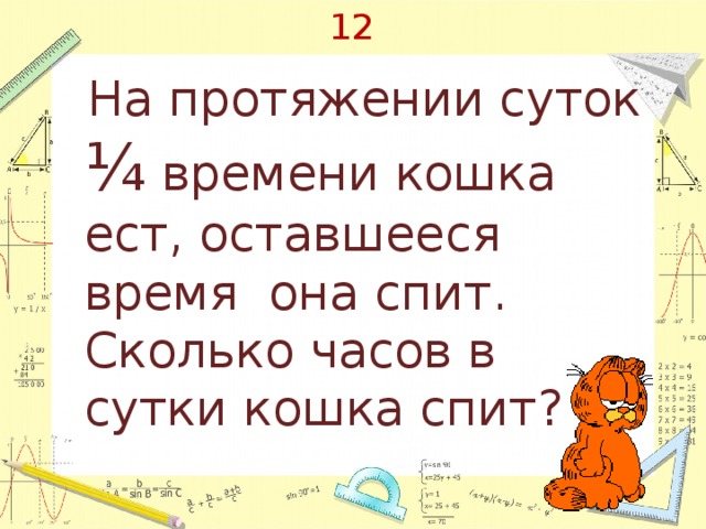 Сколько спят кошки. Сколько часов в сутки спят кошки. Сколько нужно спать кошке. Сколько спят коты в день. Сколько часов в день спят кошки.