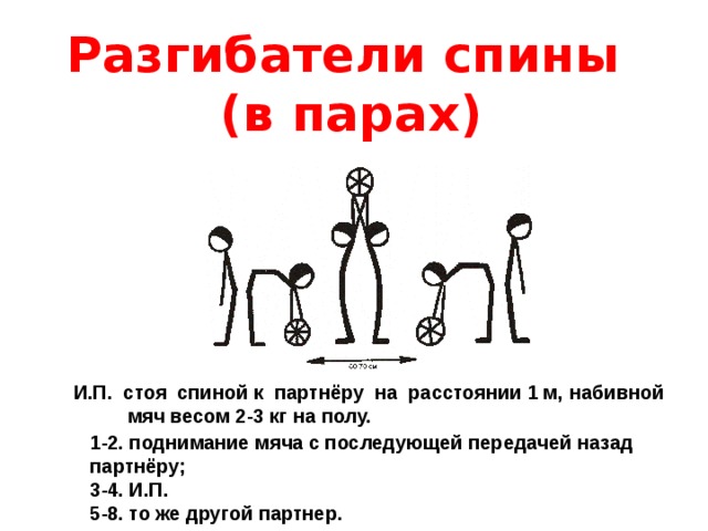 Разгибатели спины  (в парах)   И.П. стоя спиной к партнёру на расстоянии 1 м,  набивной  мяч весом 2-3 кг на полу. 1-2. поднимание мяча с последующей передачей назад партнёру; 3-4. И.П. 5-8. то же другой партнер.  