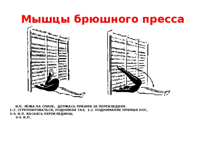 Мышцы брюшного пресса  И.П. лёжа на спине, держась руками за перекладину.  1-2. Сгруппироваться, поднимая таз;  1-2. поднимание прямых ног,   3-4. И.П.      Касаясь перекладины;       3-4. И.П.    