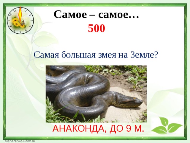 Самое – самое…  500   Самая большая змея на Земле? АНАКОНДА, ДО 9 М. 
