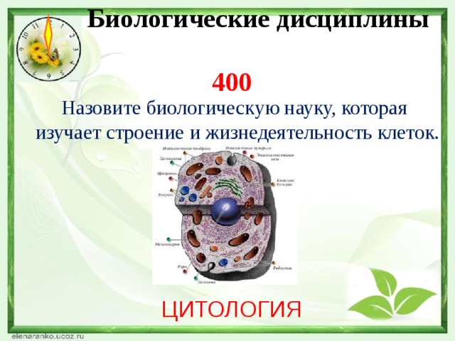 Биологические дисциплины  400   Назовите биологическую науку, которая изучает строение и жизнедеятельность клеток. ЦИТОЛОГИЯ 