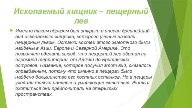 Ископаемый хищник – пещерный лев Именно таким образом был открыт и описан древнейший вид ископаемого хищника, которого ученые назвали пещерным львом. Останки костей этого животного были найдены в Азии, Европе и Северной Америке. Это позволяет сделать вывод, что пещерный лев обитал на огромной территории, от Аляски до Британских островов. Название, которое получил этот вид, оказалось оправданным, потому что именно в пещерах было найдено большинство его костных останков. Но в пещеры уходили только раненые и умирающие животные. Жить и охотиться они предпочитали на открытых пространствах. 