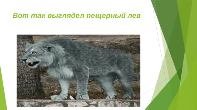 Вот так выглядел пещерный лев 
