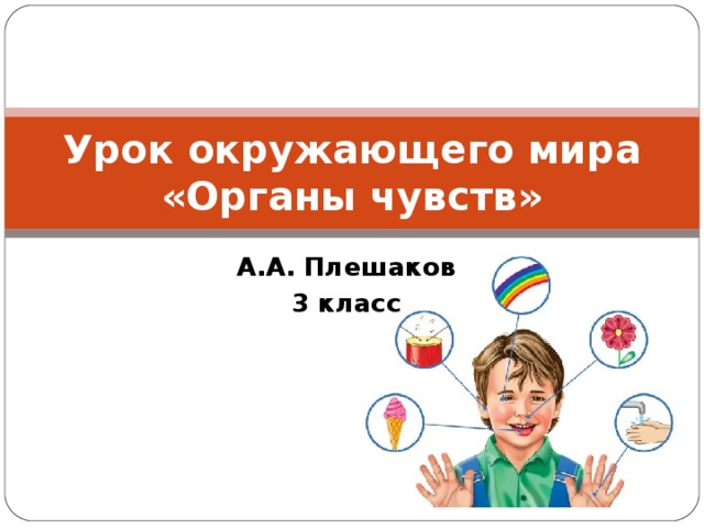 Презентация 3 класс органы чувств плешаков