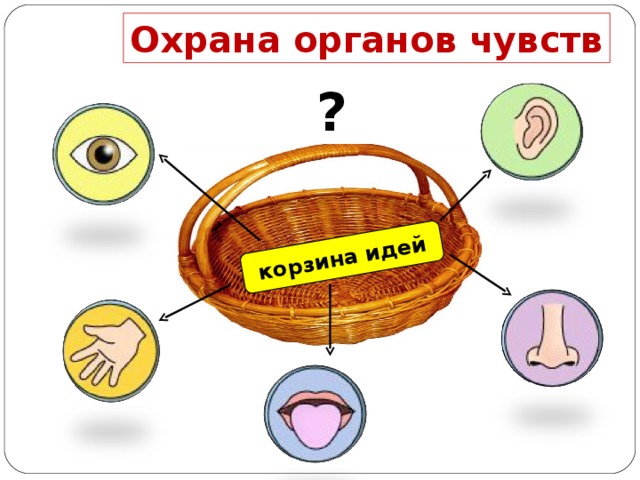 Условные знаки к правилам гигиены органов чувств