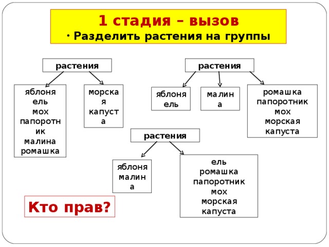 На какие группы можно подразделить