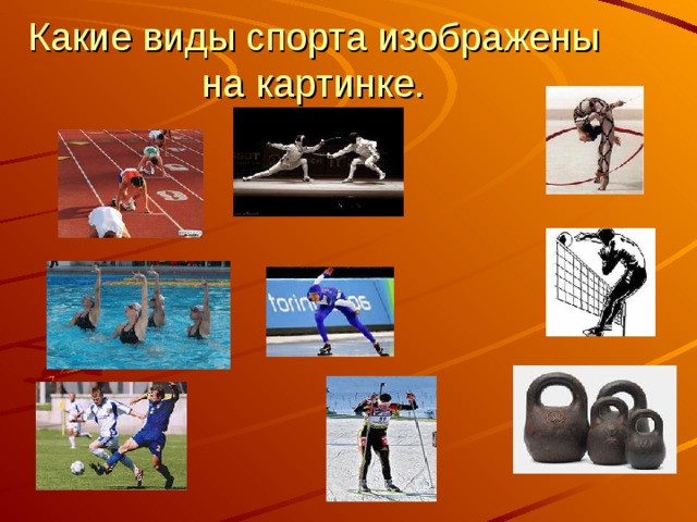 Какие виды спорта изображены на картинке. 