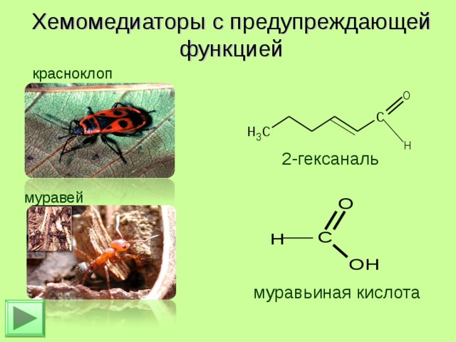 Хемомедиаторы с предупреждающей функцией красноклоп   2-гексаналь  муравьиная кислота муравей 