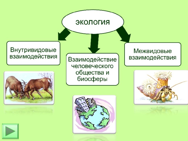 На основании материала параграфа составьте схему возможные варианты межвидовых отношений