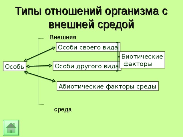 Типы отношений организма с внешней средой Внешняя Особи своего вида Биотические  факторы Особи другого вида Особь Абиотические факторы среды среда 