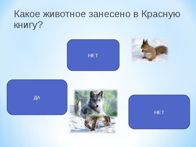 Какое животное занесено в Красную книгу ? НЕТ ДА НЕТ 