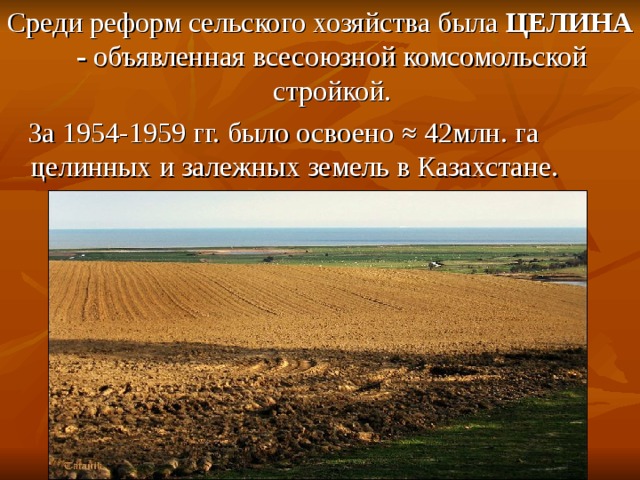 Среди реформ сельского хозяйства была ЦЕЛИНА - объявленная всесоюзной комсомольской стройкой.  За 1954-1959 гг. было освоено ≈ 42млн. га целинных и залежных земель в Казахстане.  