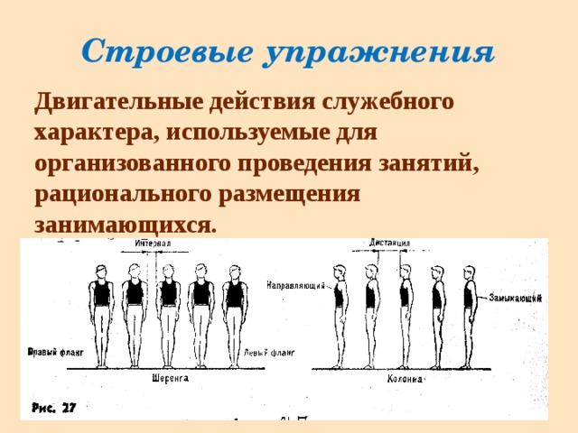 Строевые упражнения Двигательные действия служебного характера, используемые для организованного проведения занятий, рационального размещения занимающихся. 