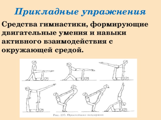 Прикладные упражнения Средства гимнастики, формирующие двигательные умения и навыки активного взаимодействия с окружающей средой. 