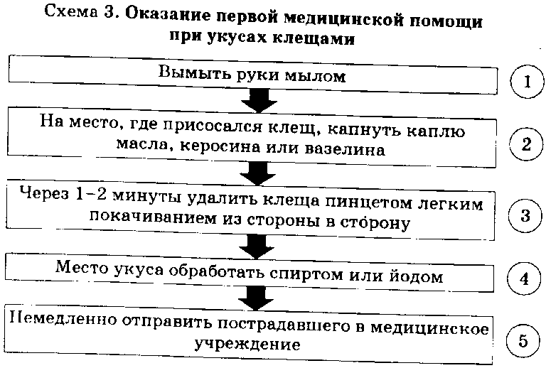 Схема оказания первой помощи