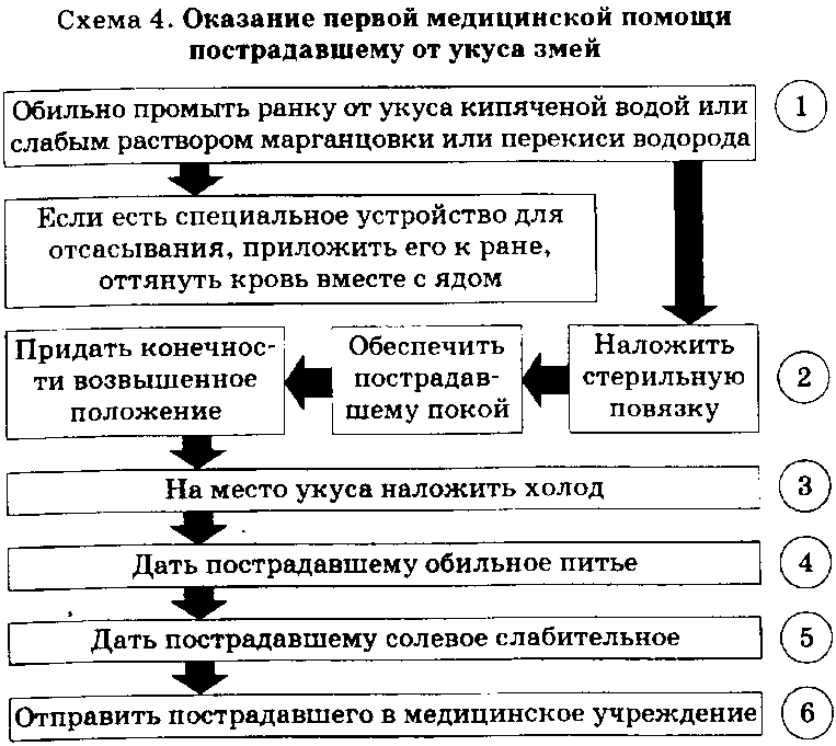 Оказание первой помощи схема