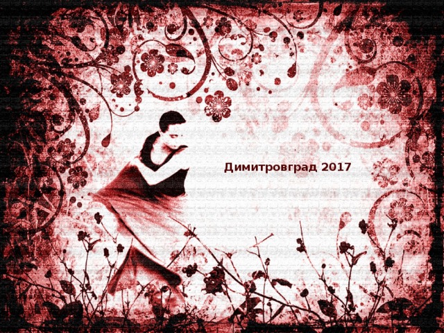 Димитровград 2017 
