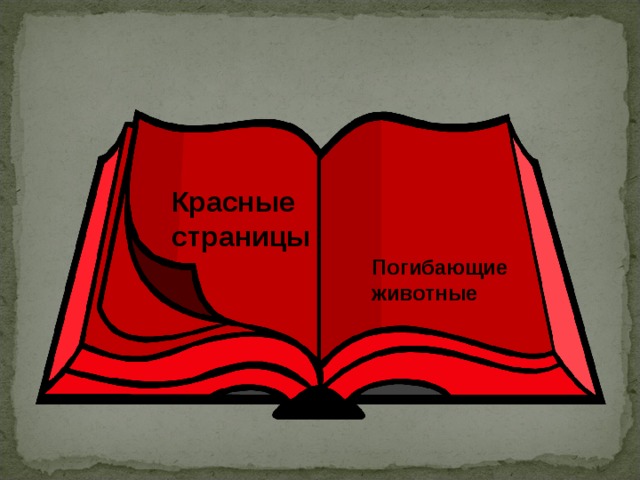 Красная страница. Красные страницы красной книи России. Страницы красной книги картинки. Картинки красные страницы красная книга для детей 3-4 лет. Красные страницы кто там.