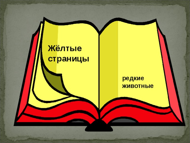 Книга желтые страницы