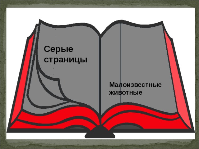 Красная книга серые страницы. Серые страницы красной книги России. Серые страницы книги. Страницы красной книги серые страницы. Красная книга России серые страницы книги.