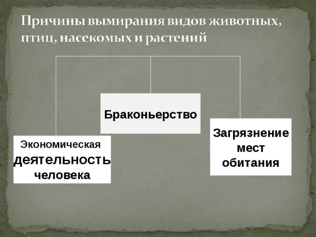 Причины исчезновения исторических традиций. Причины вымирания видов схема. Причины вымирания видов кратко. Естественные факторы исчезновения животных и растений. Косвенные причины вымирания видов..